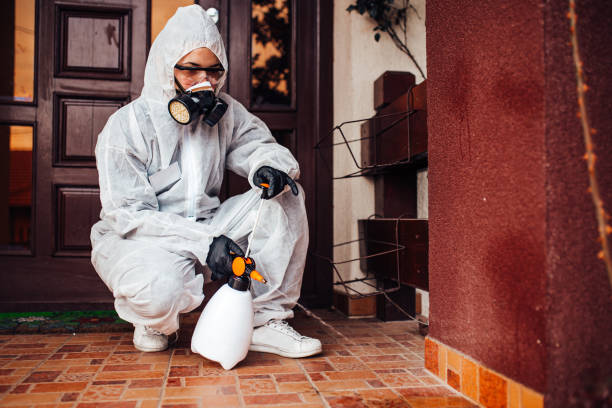 Reliable Cockroach Control contractor in Lake Ridge, VA by Nex Pest Control