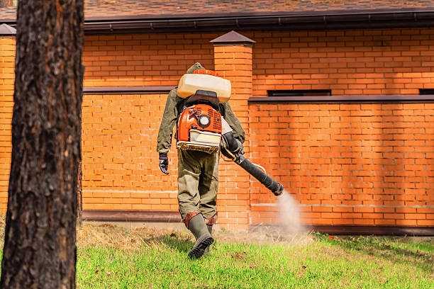 Trusted Cockroach Control service in Lake Ridge, VA - Nex Pest Control